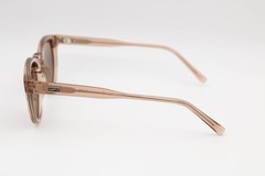 Wmp Eyewear Tate Brown Round Polarized Sunglasses 50-22-148
