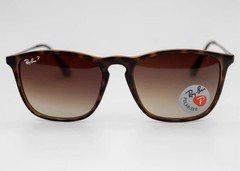 New Ray-Ban Chris RB4187 Tortoise Gradient Brown Unisex 54mm Sunglasses
