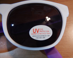 WET N WILD PALM SPRINGS PLASTIC SUNGLASSES TOURIST FUN DESIGN PURPLE WHITE NEW