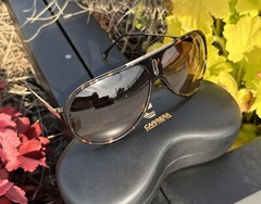 Carrera HOT65 0086 HA Dark Havana/Brown Gradient Unisex Adults
