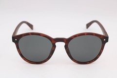 Polaroid Pld6034/S N9Pmatt Havana/Brown Round Polarized Sunglasses 51-21-145