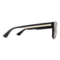 Gucci Sunglasses GG0341S 003 Havana with Black and Beige Stripe Green