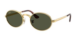 Ray-Ban RB3931 001/31 54 Unisex Sunglasses