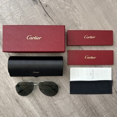 PREMIERE C DE CARTIER SILVER PILOT SHAPE ZEISS SUNGLASSES CT0110S 004 NEW $1425