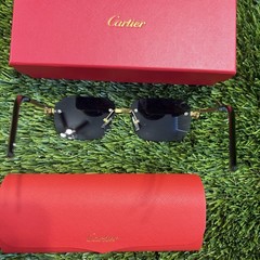 Black Lenses Gold Spiral Rim Glasses