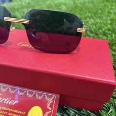 Black Lenses Gold Spiral Rim Glasses