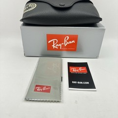 Ray Ban Mens Irregular Aviator Polar Sunglasses RB3663 Black/Green