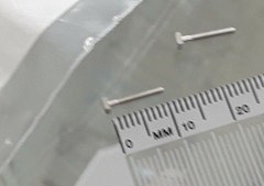 1 pair Cartier Enjoliveur 10 mm Finition Platine Brosse Silver screws Eyeglasses