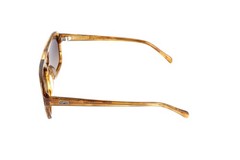 WMP Sydney Brown Aviator Polarized Sunglasses 54-20-144
