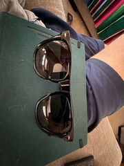 Ray-Ban Wayfarer Puffer Sunglasses in Polished Black