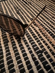 ❤️ TOM FORD | ‘MATTEO’ AVIATOR SUNGLASSES | BROWN | NEW | NO RSRV | SEE DETAILS!